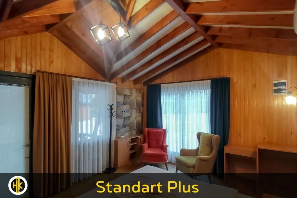 Standart Plus Oda