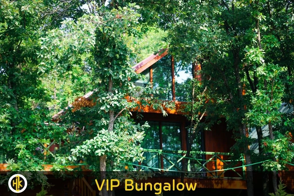 VIP Bungalow Room